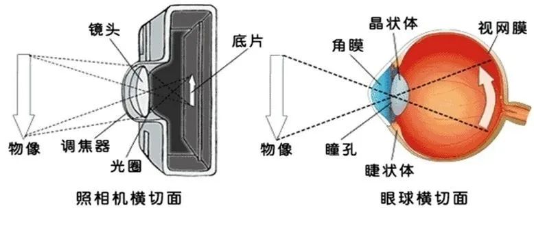 3e3d2762e24f67954ebabf2510dcc9b2_1-2306151G3444I.jpg