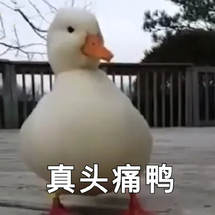 7809a36ba623b90189219999ac656334_1-21062G14054322.png