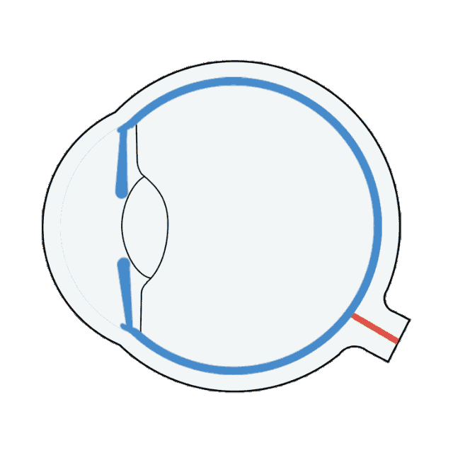 6447b32385267f5eda506cefc4017c09_1-21062G14123548.gif
