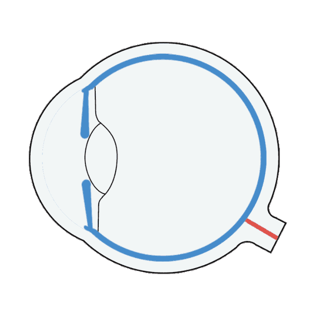 31650ef1b0ed3b129f73067ef4dfa966_1-21062G14221620.gif