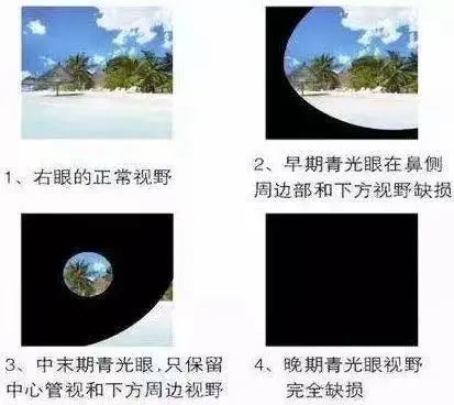 fa1082719f267fd32842f7c43de681fc_16040932L-7.jpg