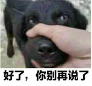 b1c118f4f93c546331ba83506bbb069d_1-210FGJ205D5.png