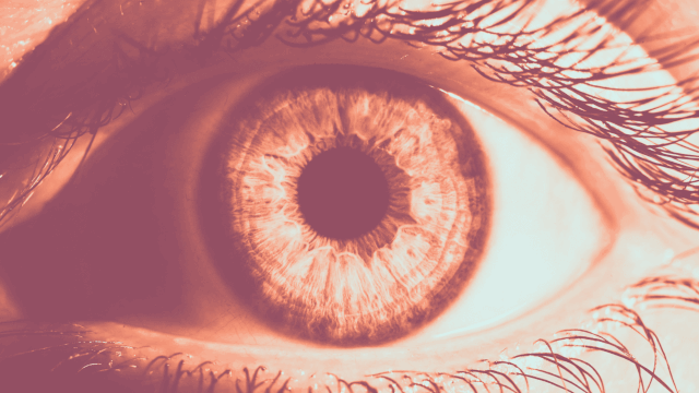 8b9527b74813bbf56770871eaed73ae9_1-221230111921414.gif