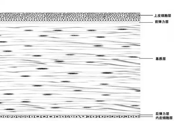 47d1a021dd74cc4d26a9a70c39e2b6fe_1-22100211220WP.jpg