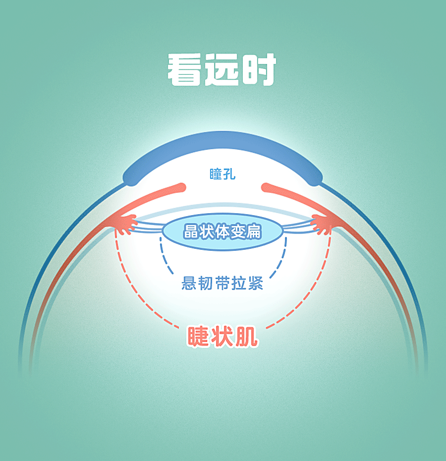 cfad04f5d1c9c3d3be069f4ae47ea8bc_1-21102GI004493.jpg
