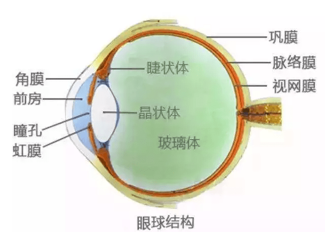 年轻时做了近视手术，老了还能做白内障手术吗？