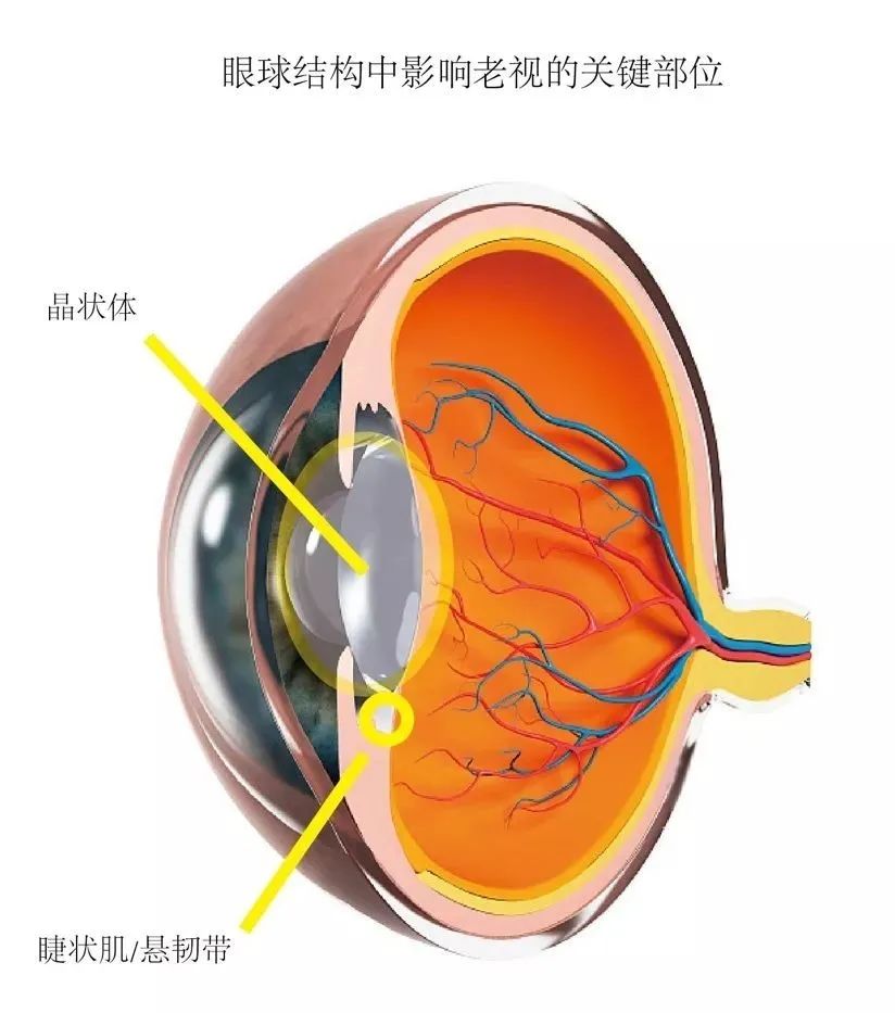 9.9元卖爆的老花镜，真的能用吗？