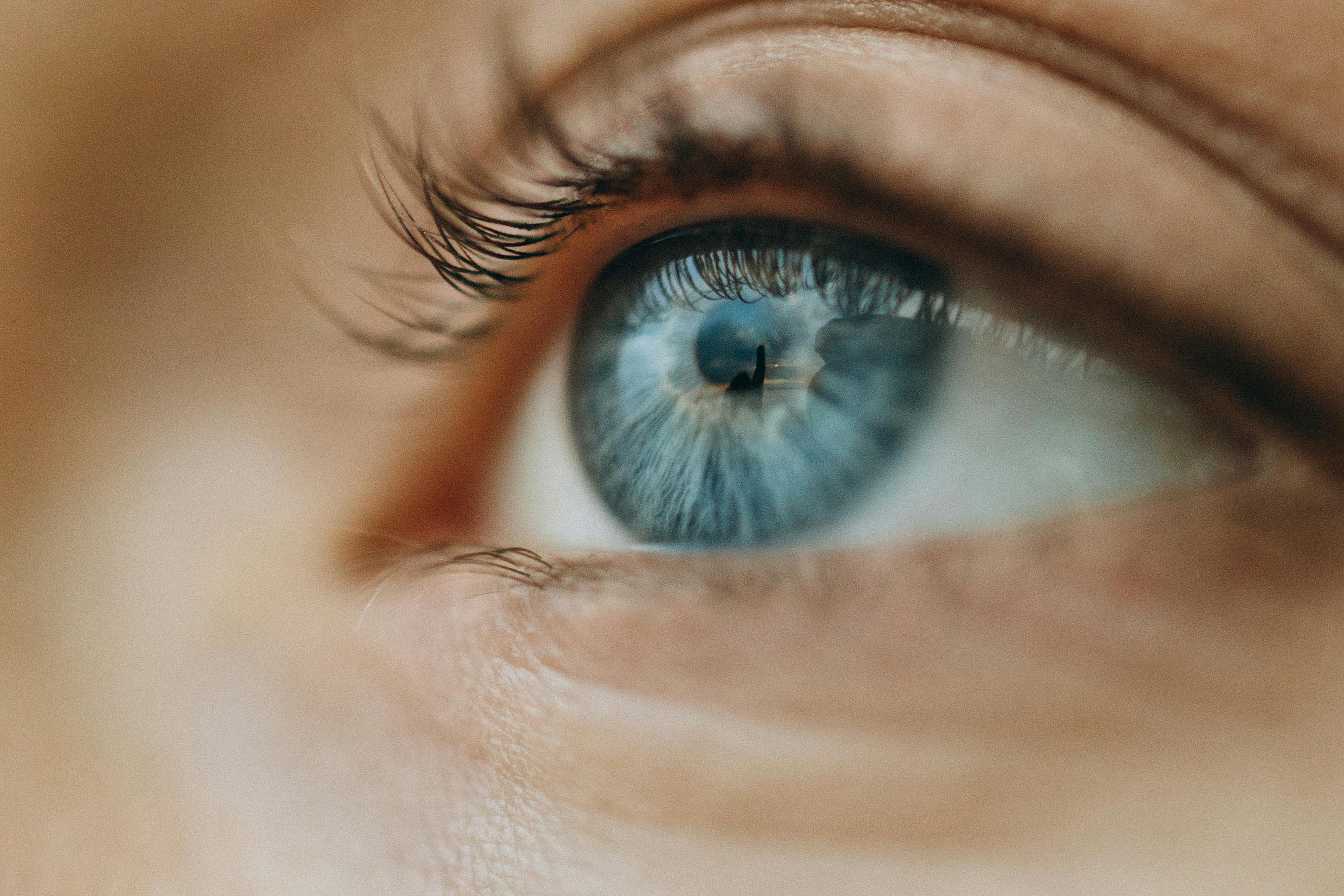 pexels-maksgelatin-9929041.jpg