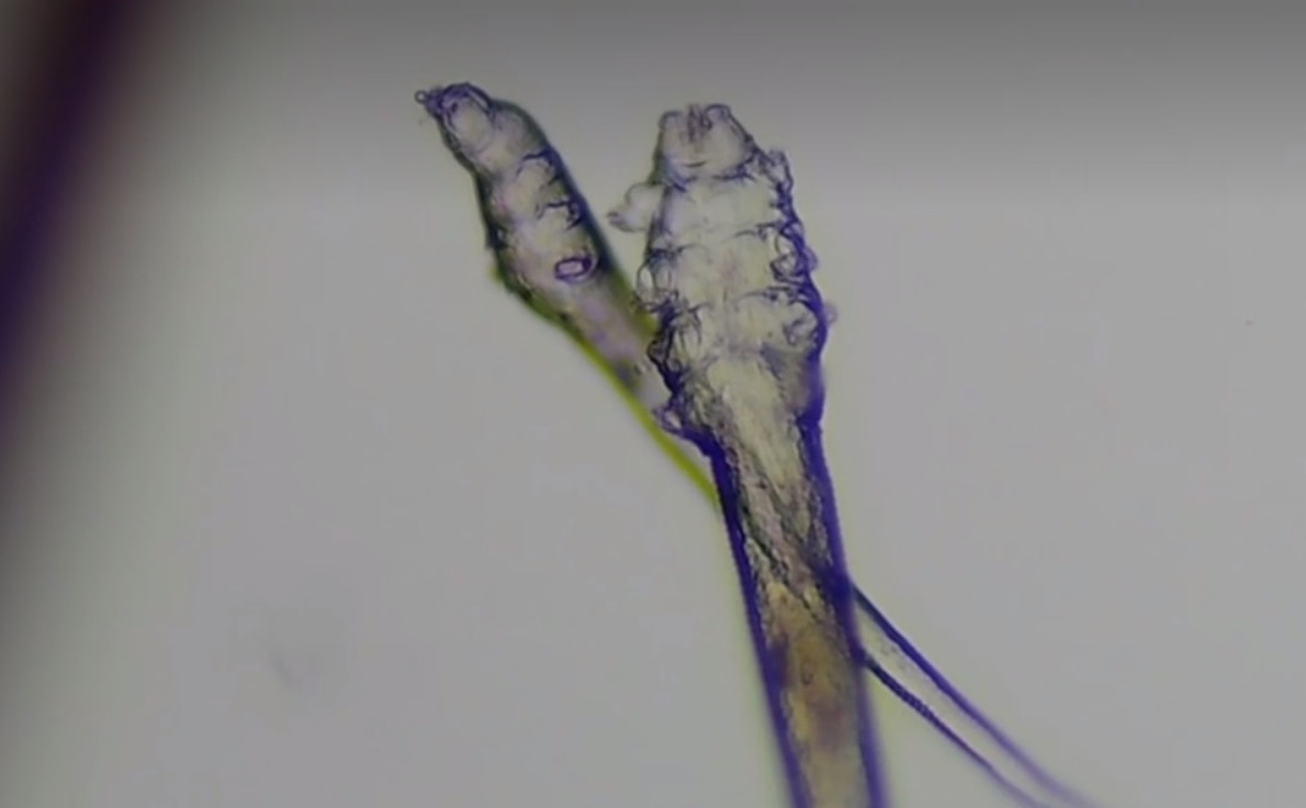 D6E0FA2D-1A77-45F4-B621-67C839133244.jpeg