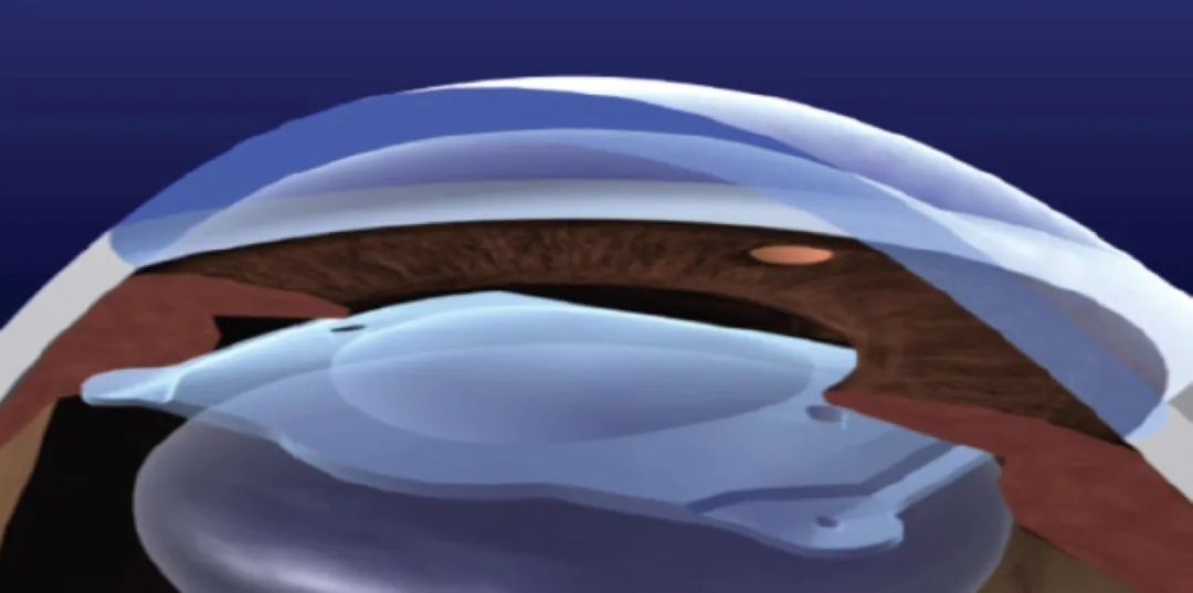 915316f64831b60271b10c964d237381_1703849511538828.jpg