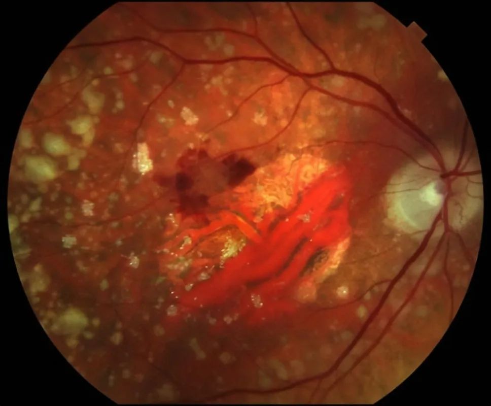 1750321151371972.jpg 002.jpg