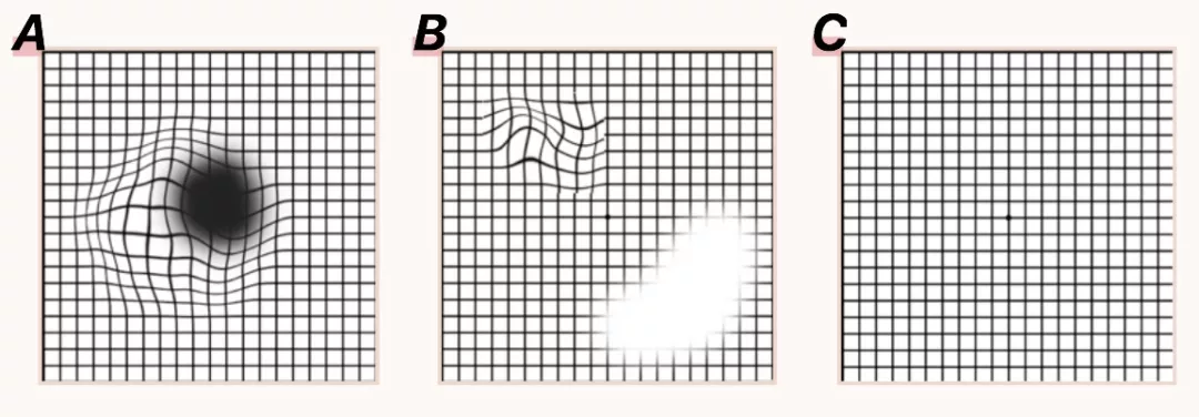 003.png