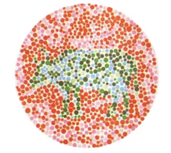 004.png