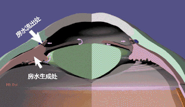 002.gif