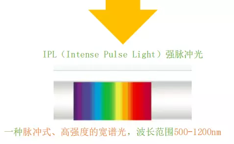 微信3.png