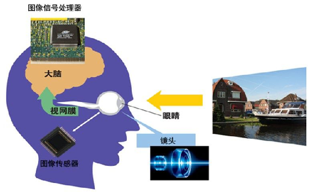 1750645672213148.png 640 (10).png
