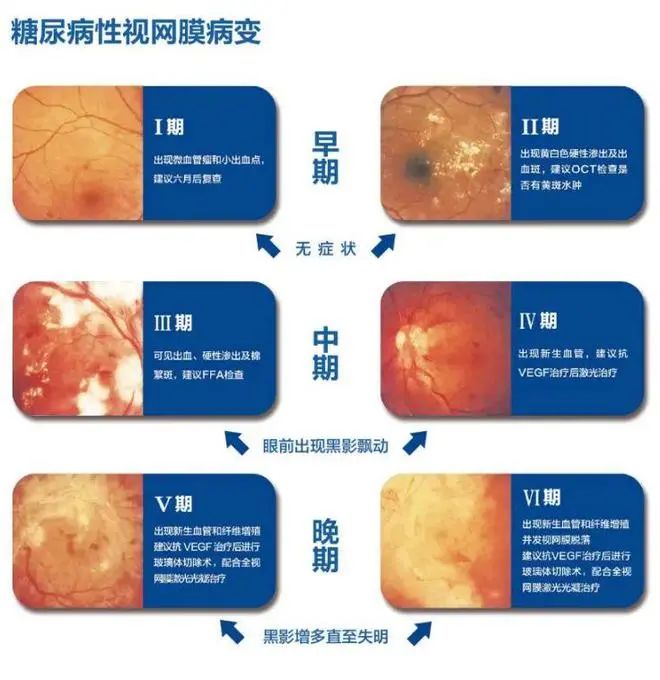 微信图片_20250623103309.jpg