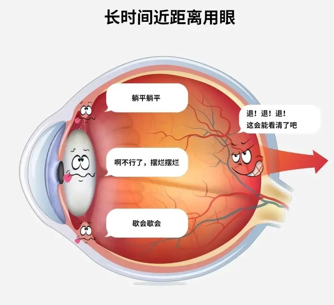 微信图片_20250623104143.jpg