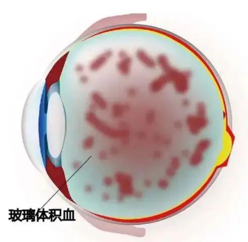 微信图片_20250623105652.jpg