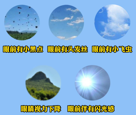 微信图片_20250623105656.png