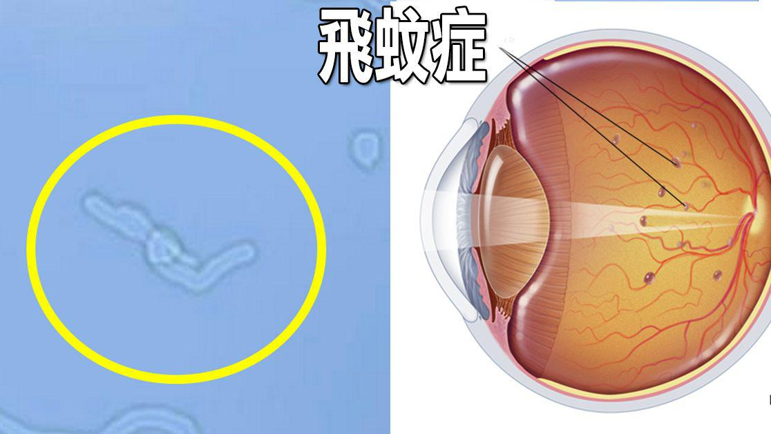 微信图片_20250623105636.png