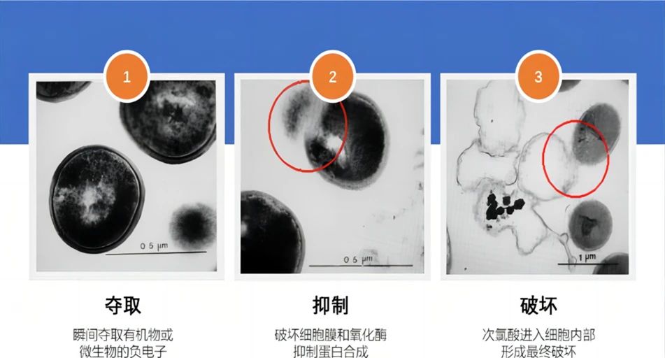 微信图片_20250623111916.jpg