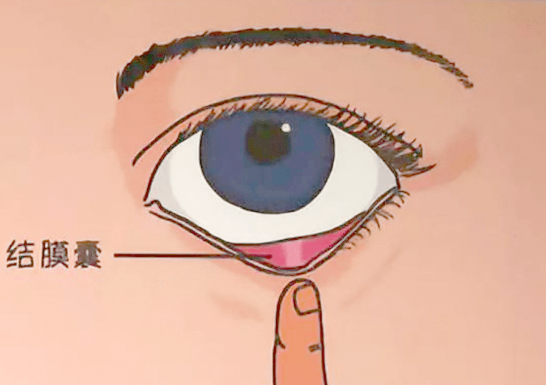 微信图片_20250623131711.png