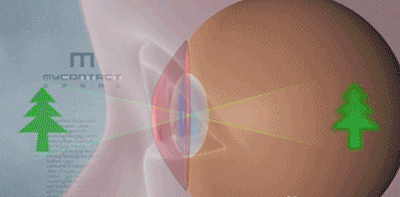 1750659701707499.gif 微信图片_20250623142043.gif