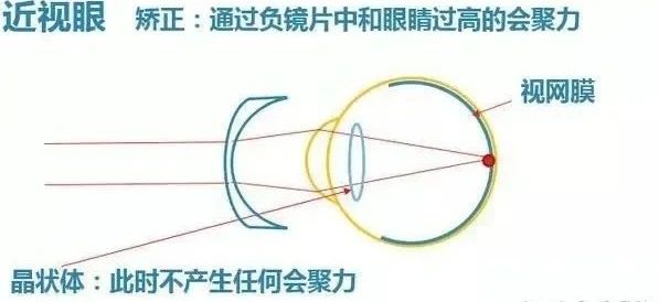 1750665505686105.jpg 微信图片_20250623155646.jpg