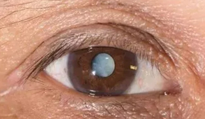 微信截图_20250624151618.png