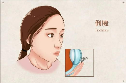 微信截图_20250624160605.png