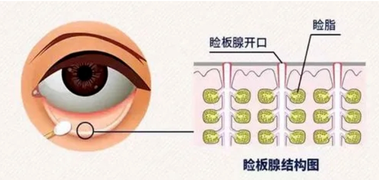 微信截图_20250624163348.png