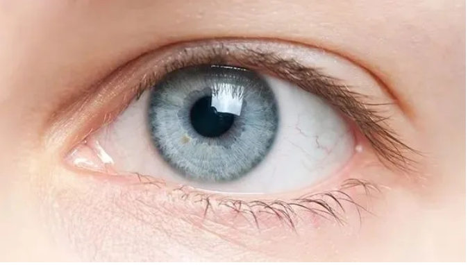 微信截图_20250624164733.png