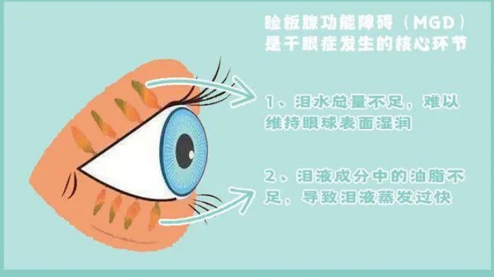 微信截图_20250624171819.png