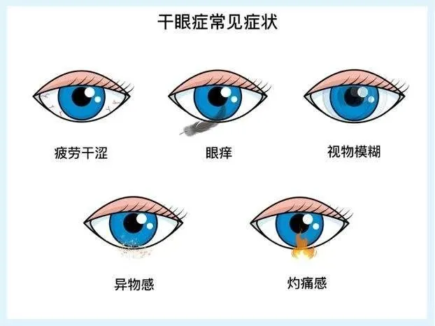 b2c2cee88c30dff98e50f82f024690c.png