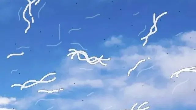 abe144f84e5192e097bd63f1dfdd32d.png
