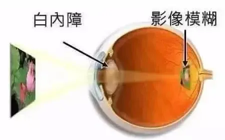 429083b6ac3210786ed35798234dfd1.png