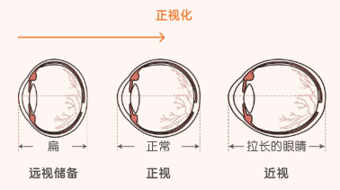 f03a83ee49190409bb4575a44982456.png