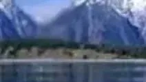 3f552142e859177c115d429e17721fb.png
