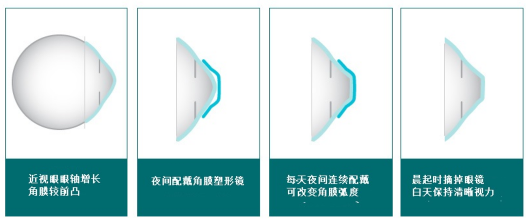 3a9efc730e69bd67ed9d39838141931.png