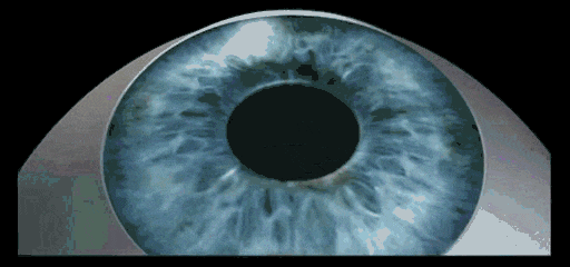 4.gif