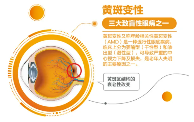 fbb0a48aab01283551f8486f1e1868b.png
