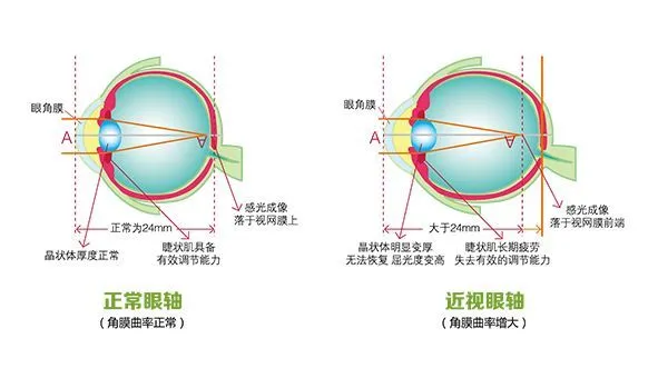 图片32.png
