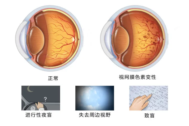 图片37.png