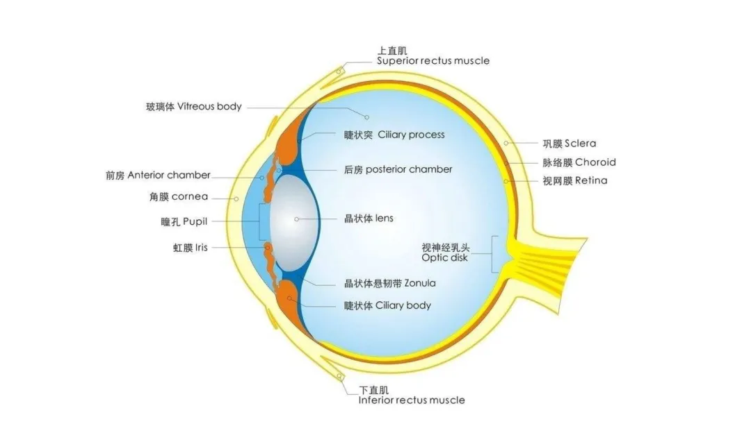 图片51.png