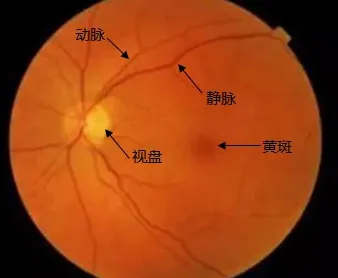 图片52.png