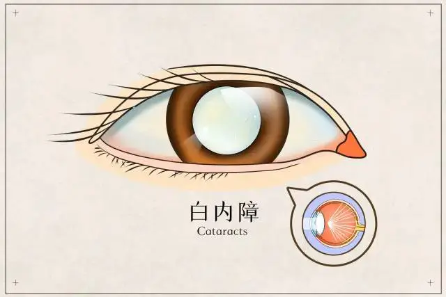 图片150.png