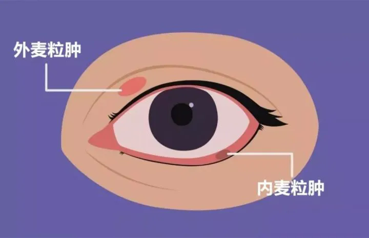 图片169.png