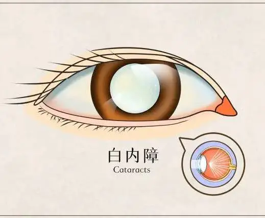 图片182.png