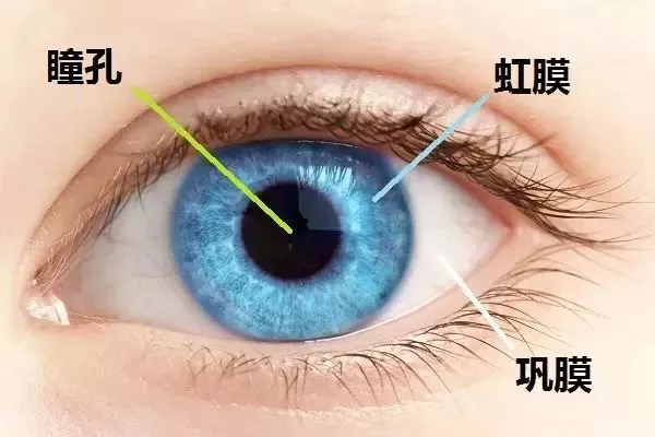 图片189.png